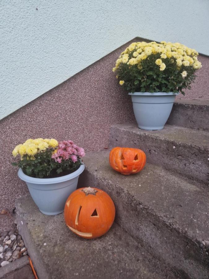 Ferienwohnung Am Gruenen Haus Garz  ภายนอก รูปภาพ